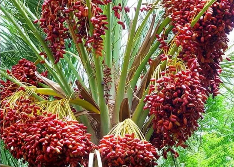 1726732735575515.png 微信截图_20240918154558.png