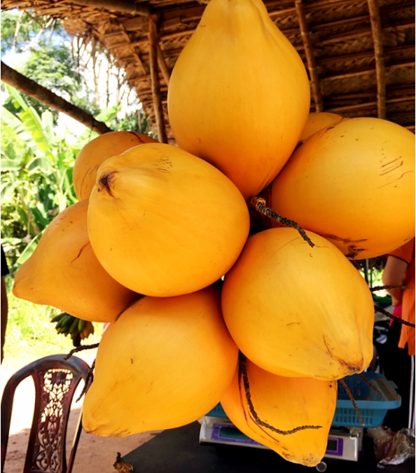 1727165920660626.png 微信截图_20240923112335.png