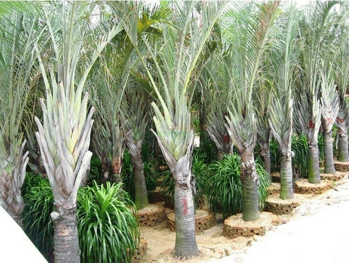 1727165933505114.png 微信截图_20240923114646.png