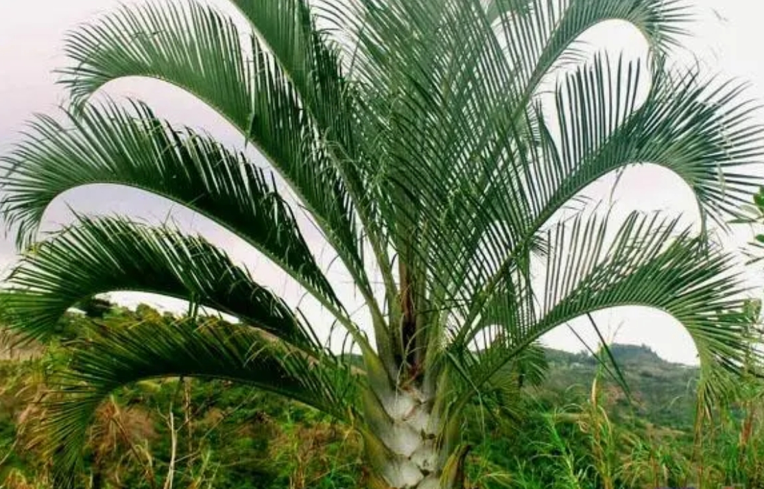 1727165938424668.png 微信截图_20240923114742.png