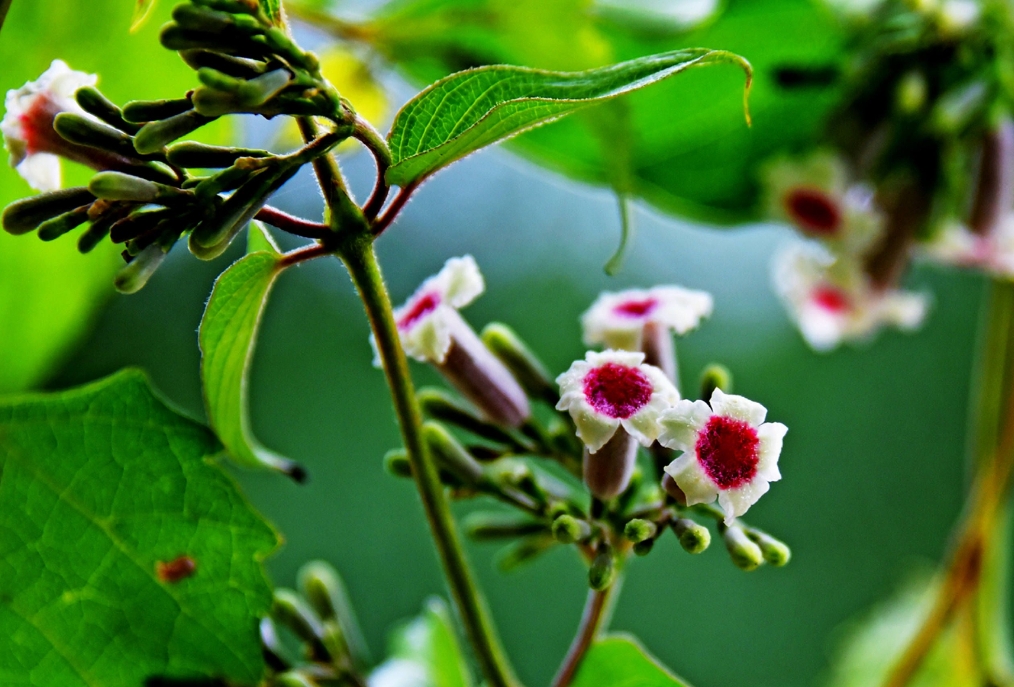 1727244021870832.png 微信截图_20240923155714.png