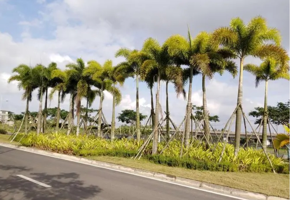 1728455792121758.png 微信截图_20240929172539.png