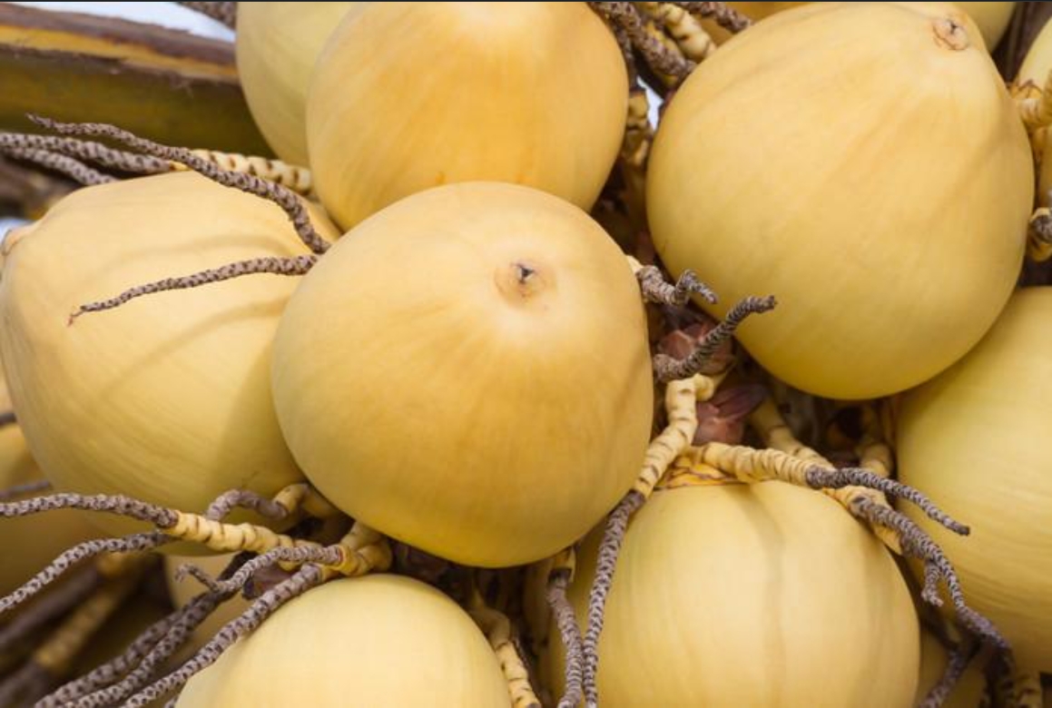 1728456213346534.png 微信截图_20240930152907.png