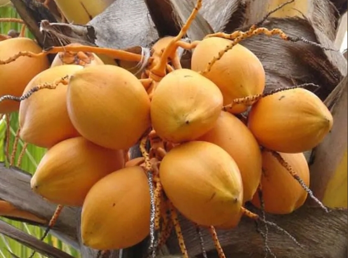 1728456220353563.png 微信截图_20240930152927.png