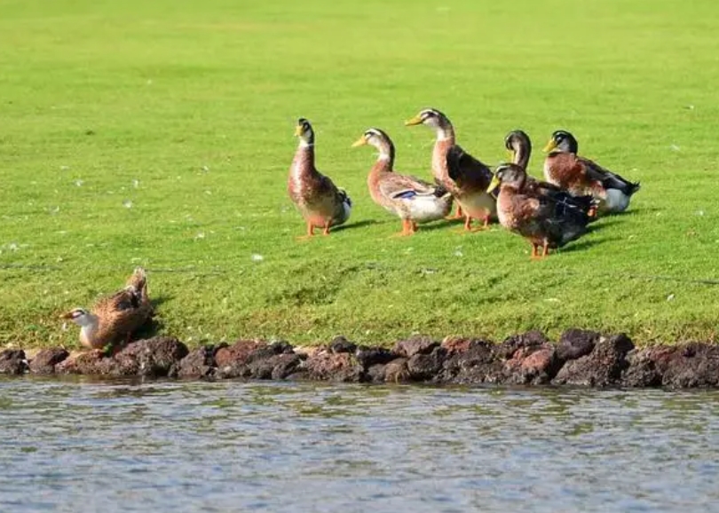 1728456791629132.png 微信截图_20240930161545.png