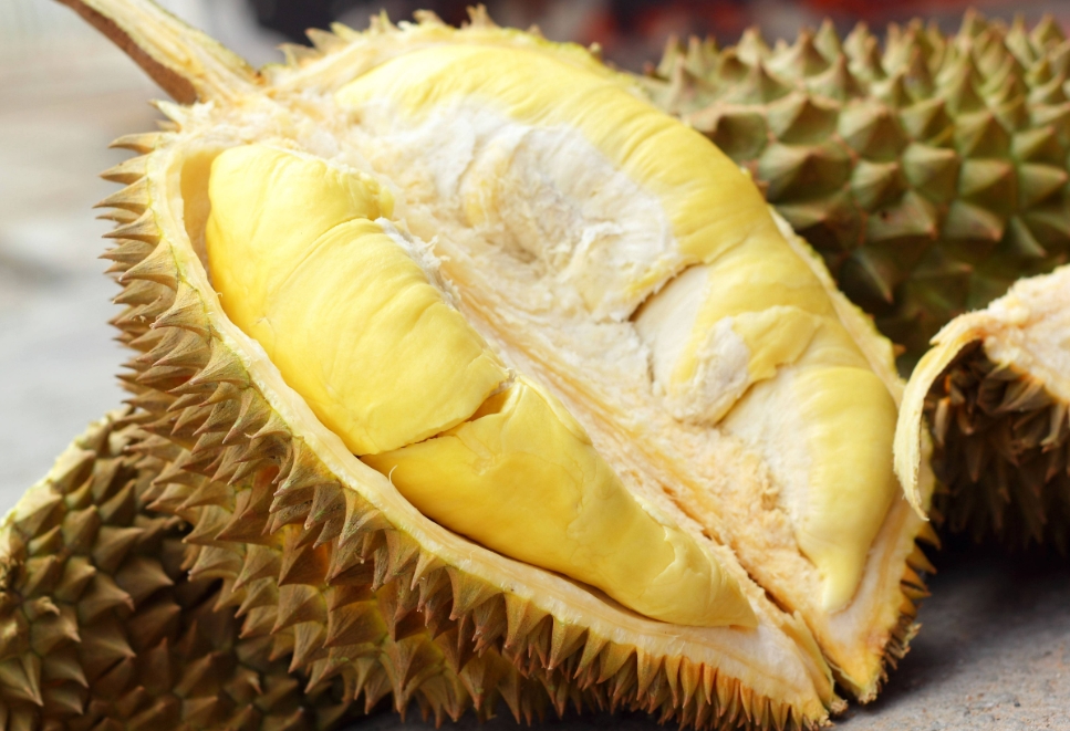 1728545637800068.png 微信截图_20241009154348.png