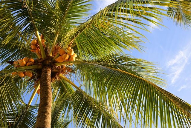 1728629061201615.png 微信截图_20241011095134.png