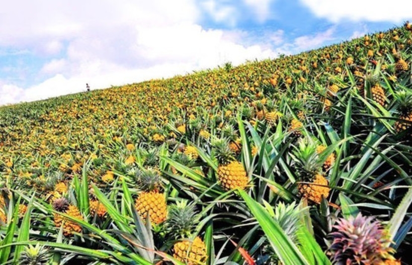 1728974103482043.png 微信截图_20241015093358.png