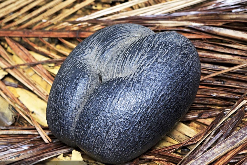 1728974960285728.png 微信截图_20241015095953.png