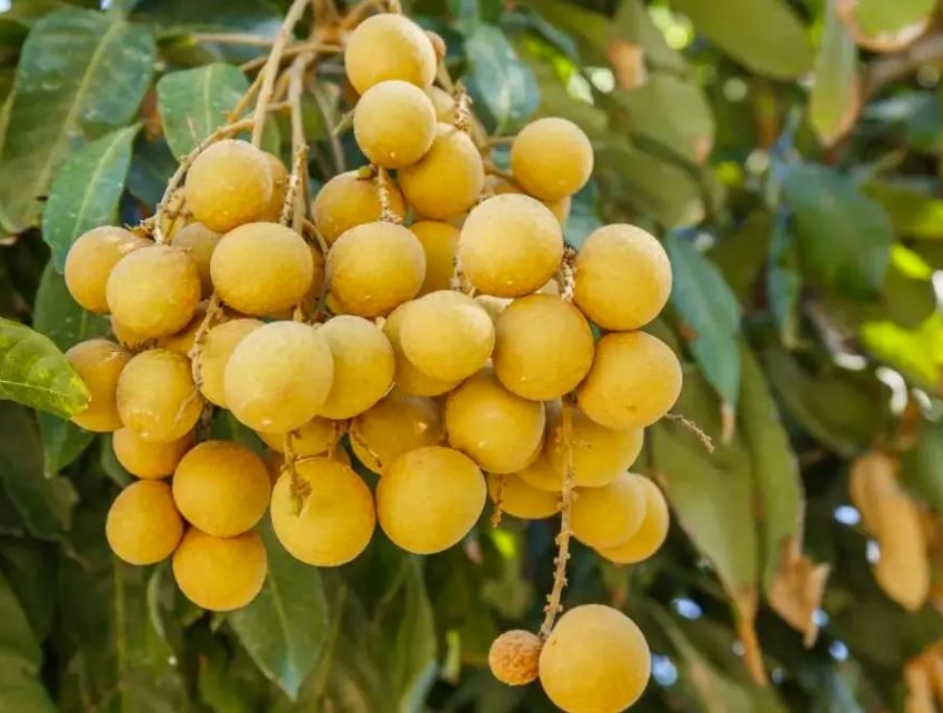 1730795010673620.png 微信截图_20241101164446.png