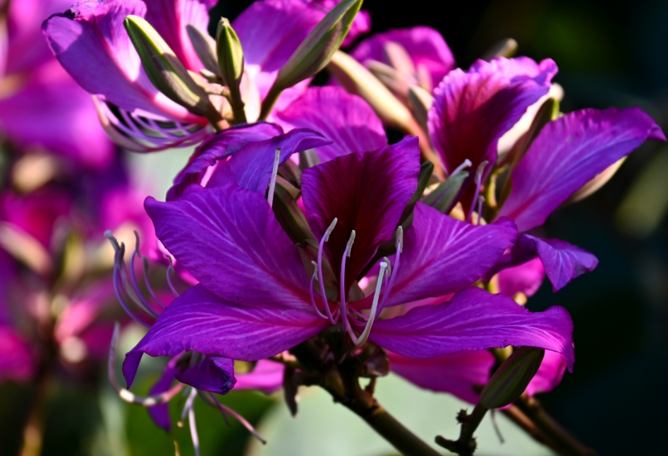 1730874536743509.png 微信截图_20241105104921.png