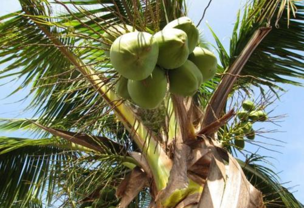 1731652240993427.png 微信截图_20241113100954.png