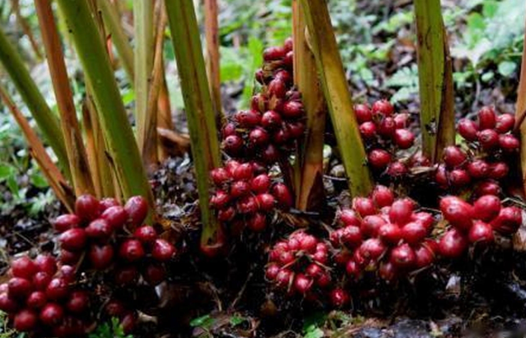 1733812878329314.png 微信截图_20241202151326.png