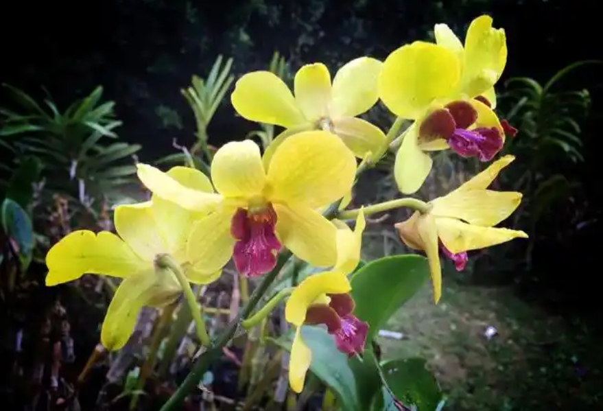 1733984417692100.png 微信截图_20241211142720.png