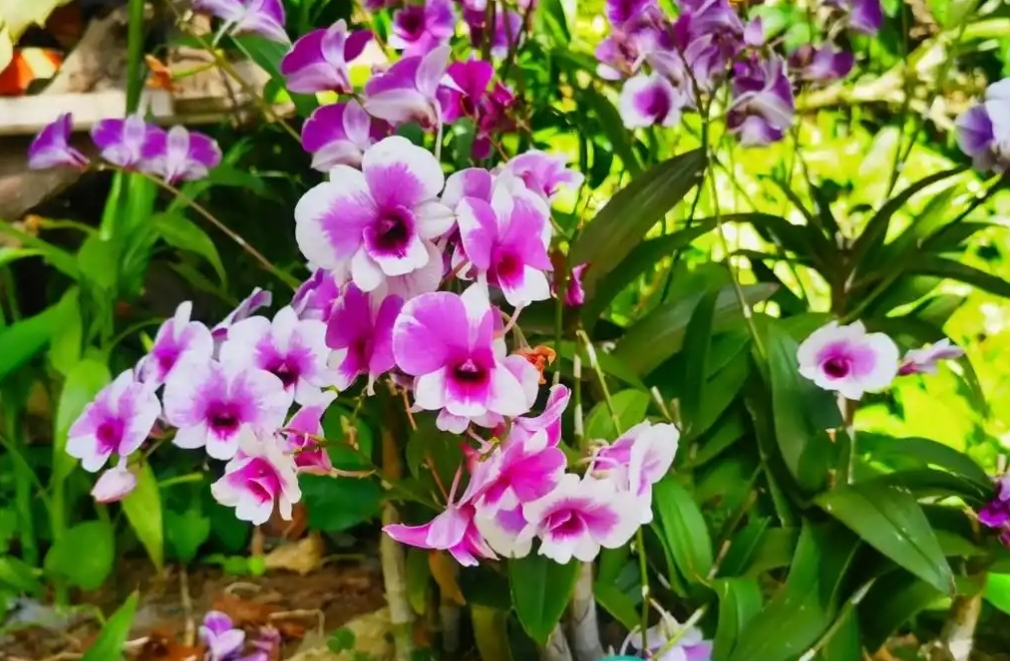 1733984422879932.png 微信截图_20241211142739.png