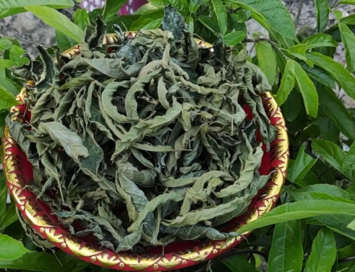 1734075854243469.png 微信截图_20241213142812.png