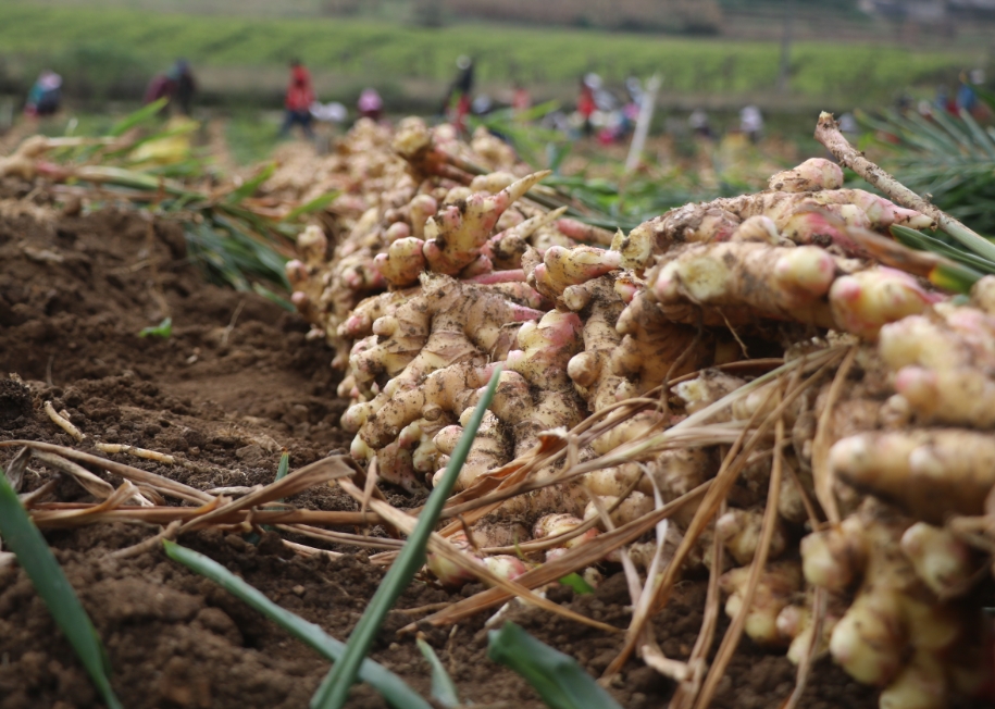 1734416271912905.png 微信截图_20241216100814.png