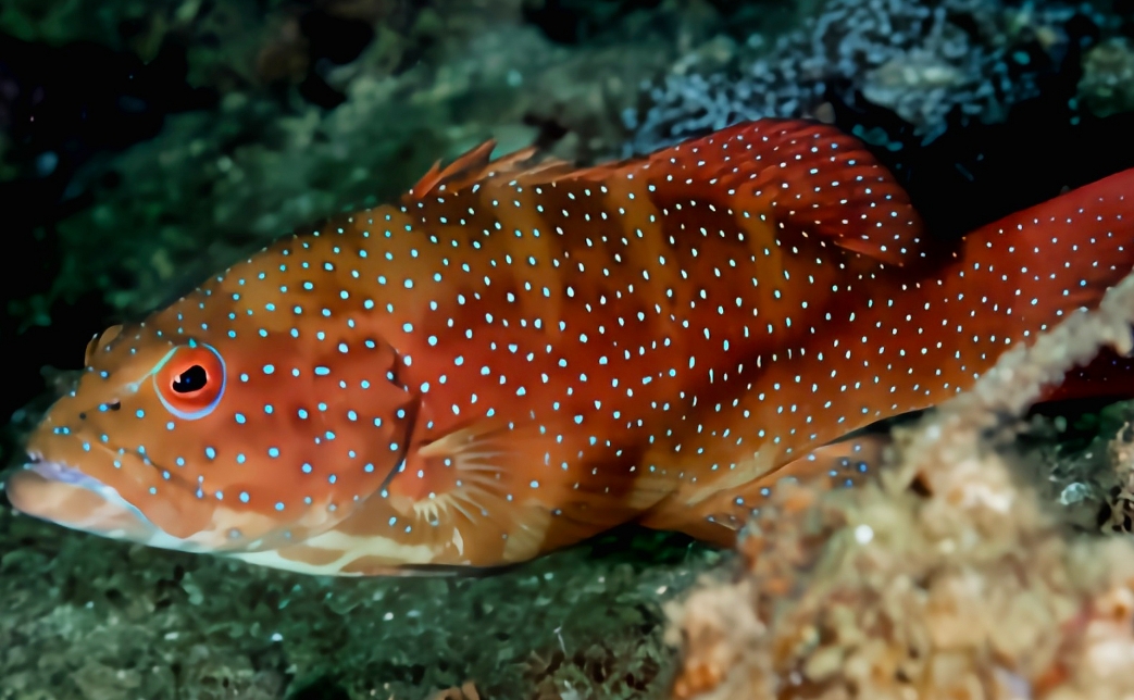 1734942361740710.png 微信截图_20241219111647.png