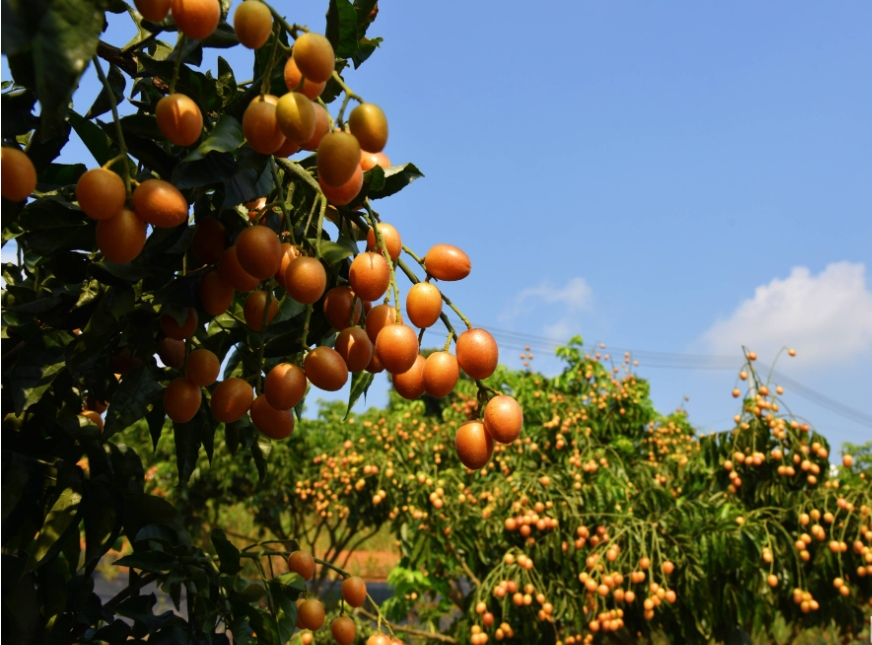 1735025802722785.png 微信截图_20241223143951.png