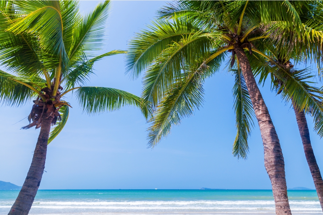 1735107774849973.png 微信截图_20241223144122.png