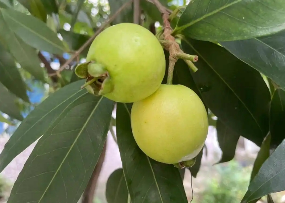 1735540298953349.png 微信截图_20241230110957.png