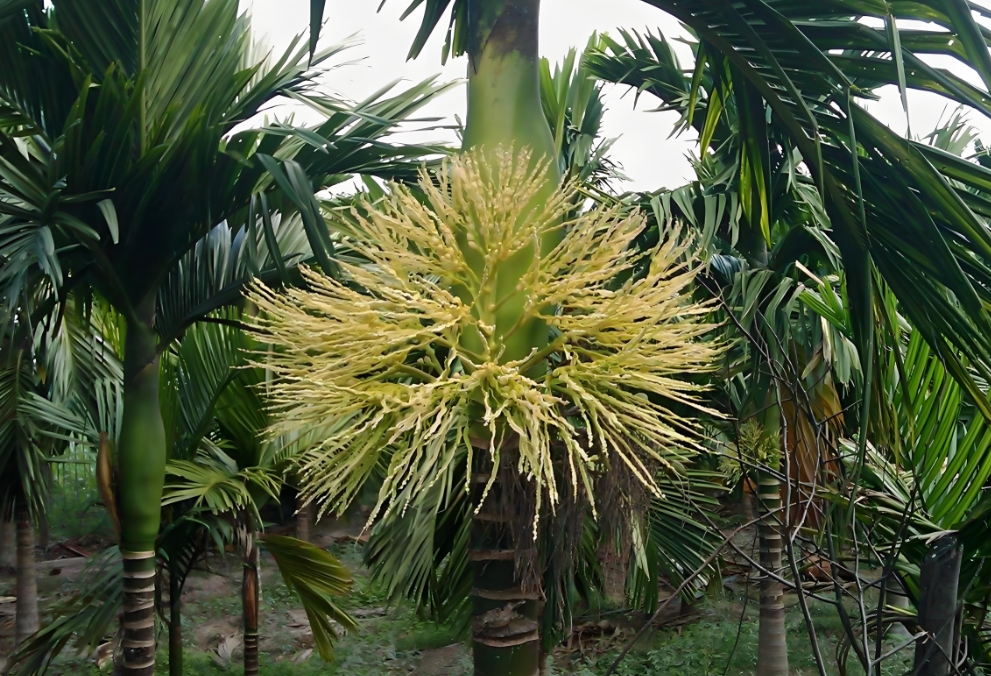 1738997792501420.png 微信截图_20250207105348.png