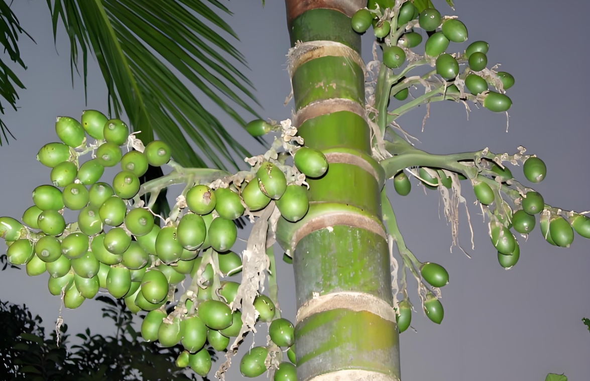 1738997798469437.png 微信截图_20250207105415.png