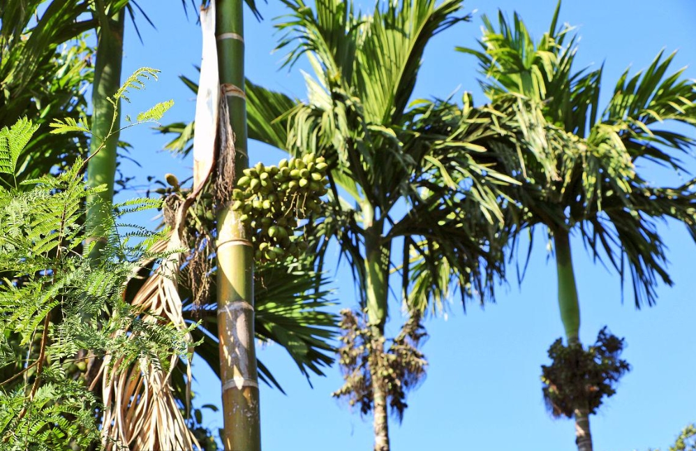 1738997814219793.png 微信截图_20250207105508.png