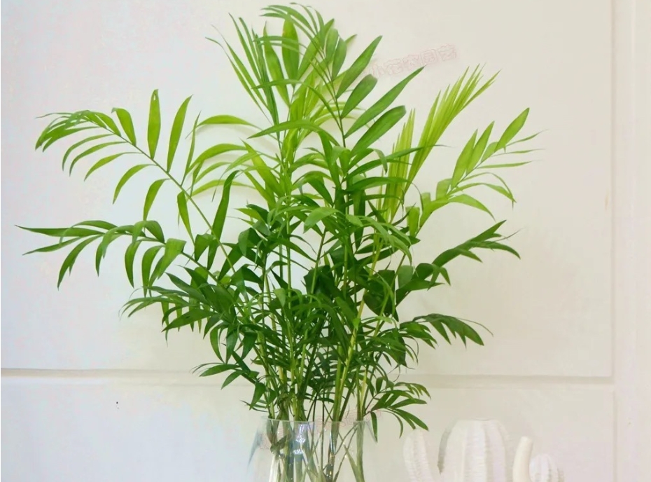 1739779654714824.png 微信截图_20250217142455.png