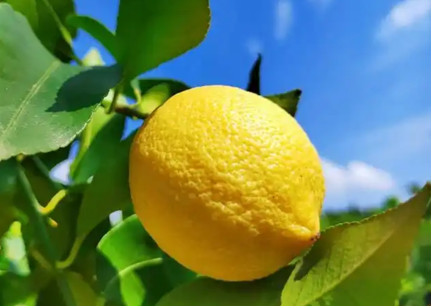 1740125069698999.png 微信截图_20250221144841.png