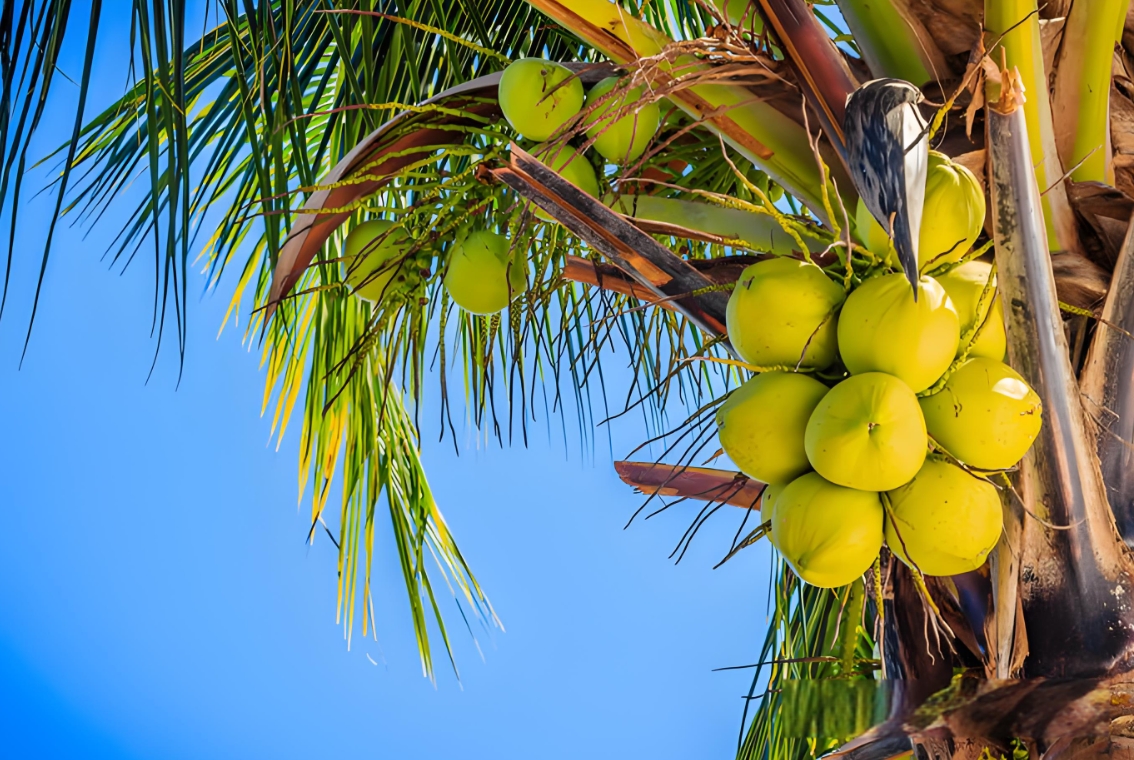 1740554601974527.png 微信截图_20250225152155.png