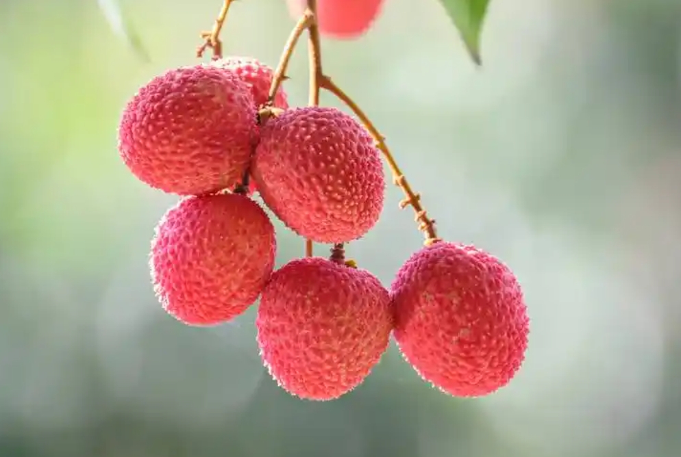 1742974320941453.png 微信截图_20250326115727.png