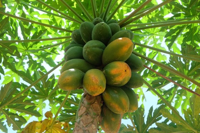 1742975097522308.png 微信截图_20250326140338.png