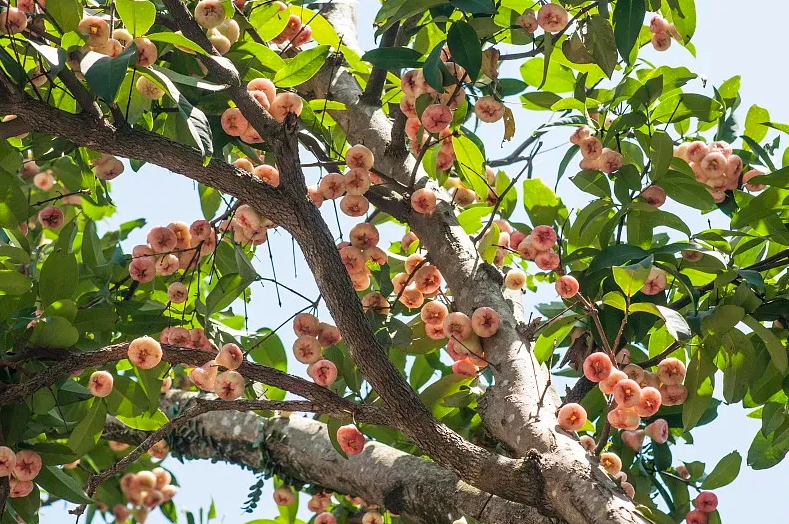 1743583381718650.png 微信截图_20250402160118.png