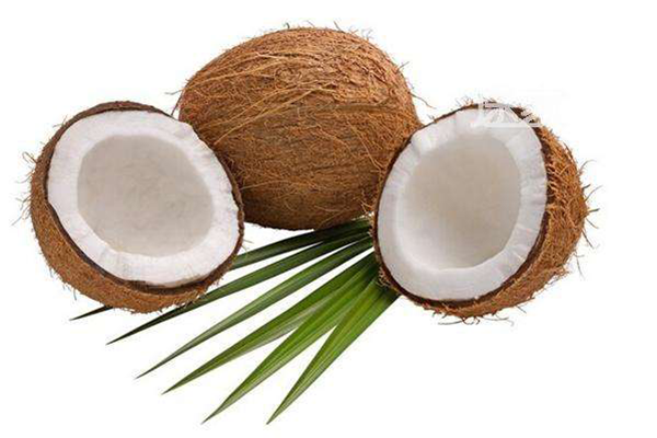 海南特产制品：椰子制品